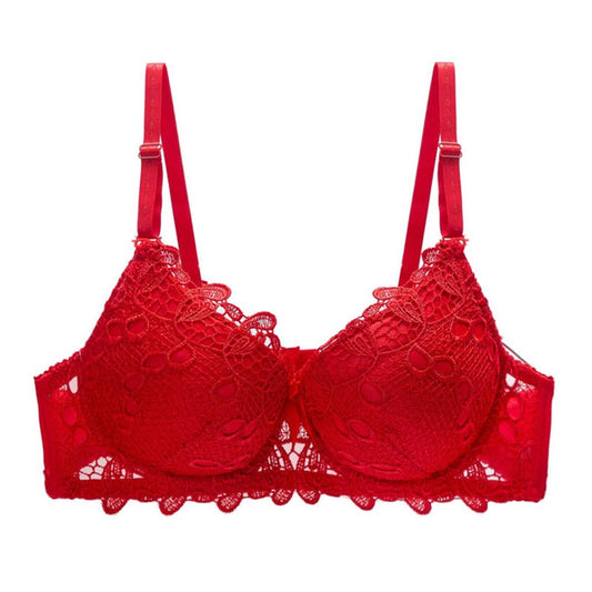 Bridal Pushup Bra Wired Net Bra for Women