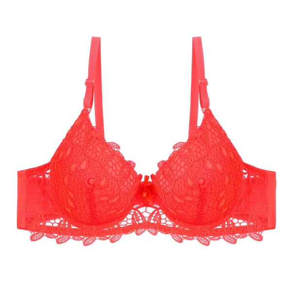 Bridal Pushup Bra Wired Net Bra for Women